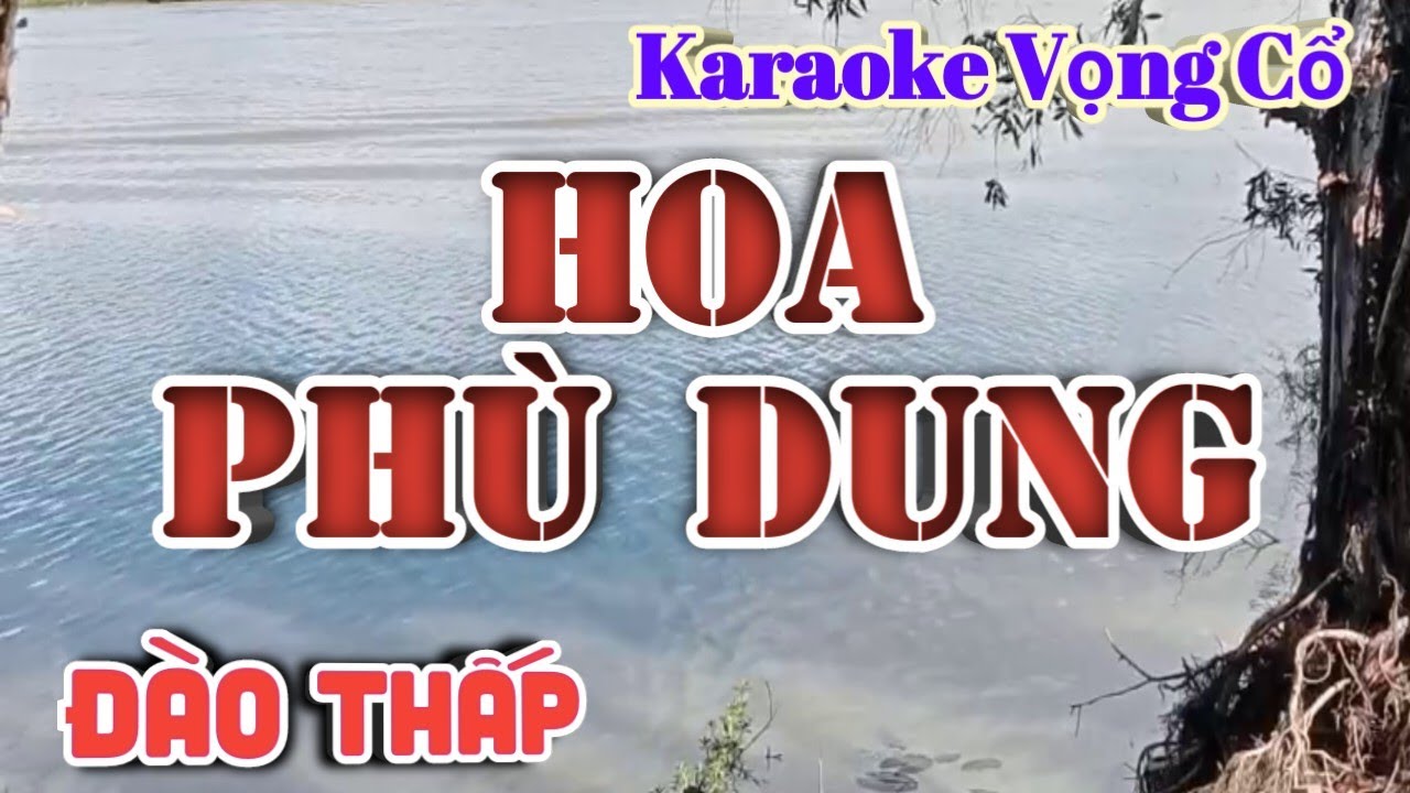 Karaoke Hoa Phù Dung - Dây Đào Thấp - Tác giả: Nguyễn Hữu Nghĩa