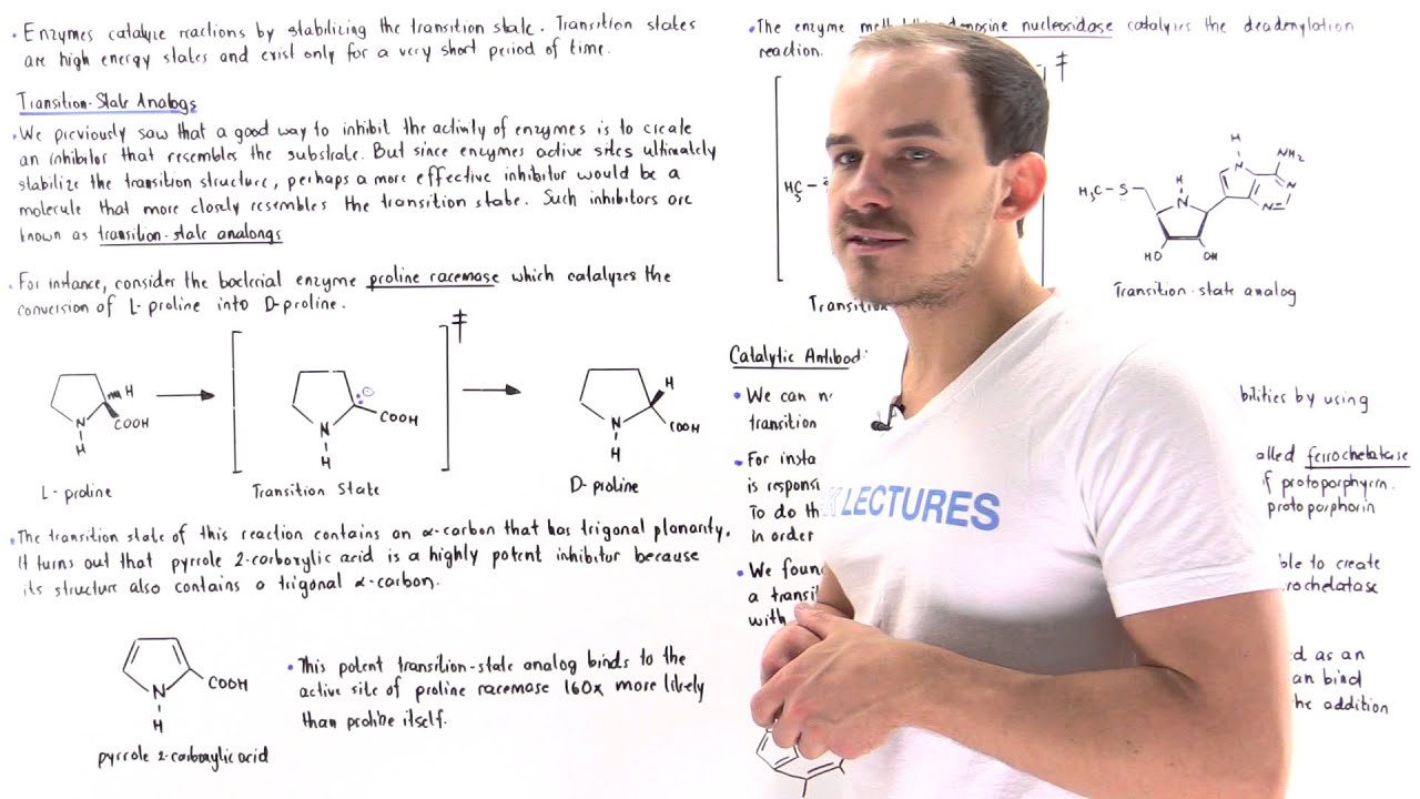 Transition-State Analogs and Catalytic Antibodies