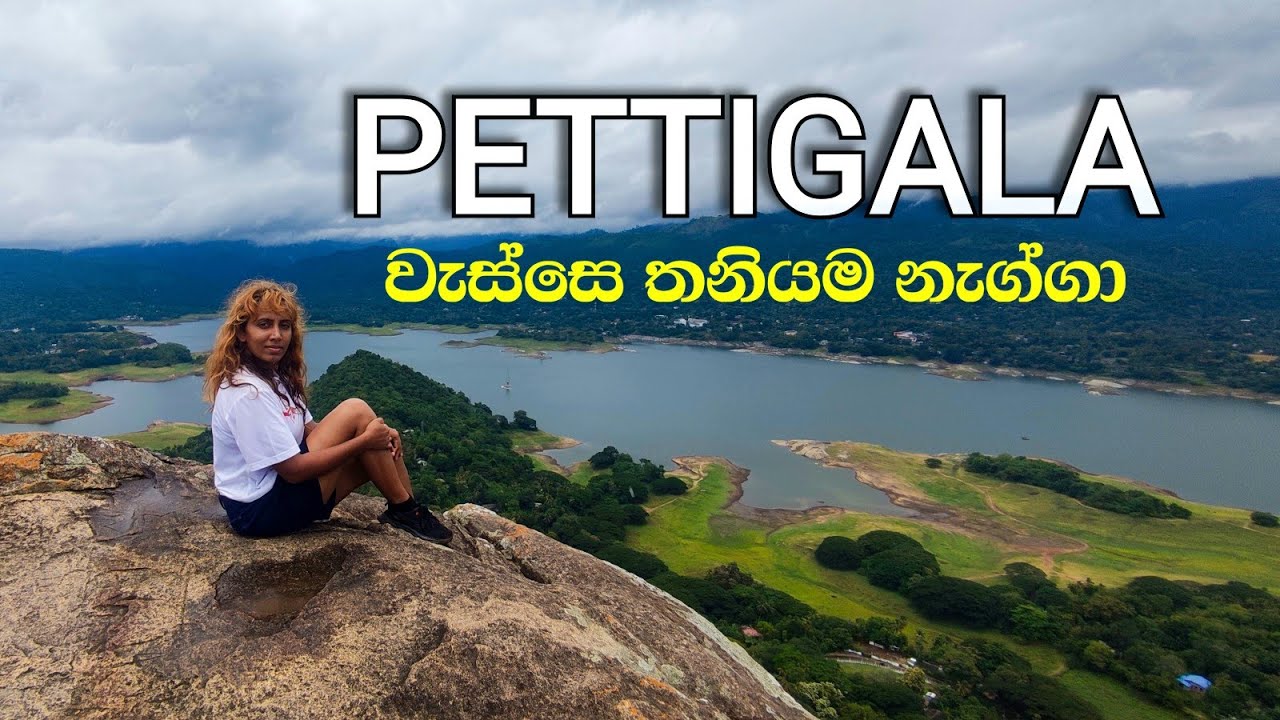 පෙට්ටිගලට වැස්සේ තනියම | කන්ද මුදුනෙදී හමුවුන අය🤔 | PETTIGALA KANDY 🇱🇰 