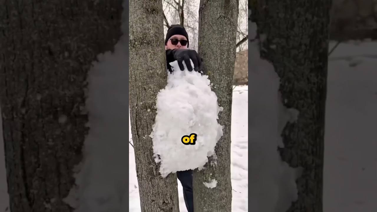 Он сделал искусственного кролика из снега 🐰❄️
