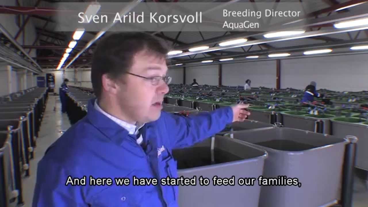 AquaGen(long version)