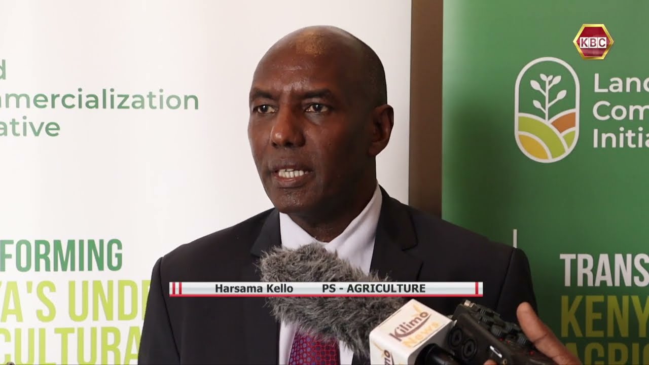 Kenyan gov't optimistic about maize flour price drop due to good harvests in Tanzania &Uganda