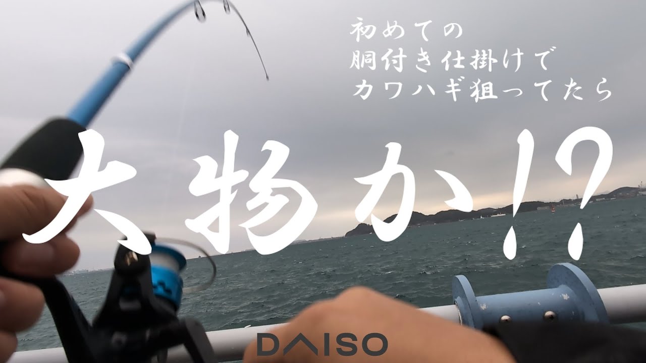 初めてのダイソー【胴付き仕掛け】でカワハギ狙ったら大物がかかった！？#10