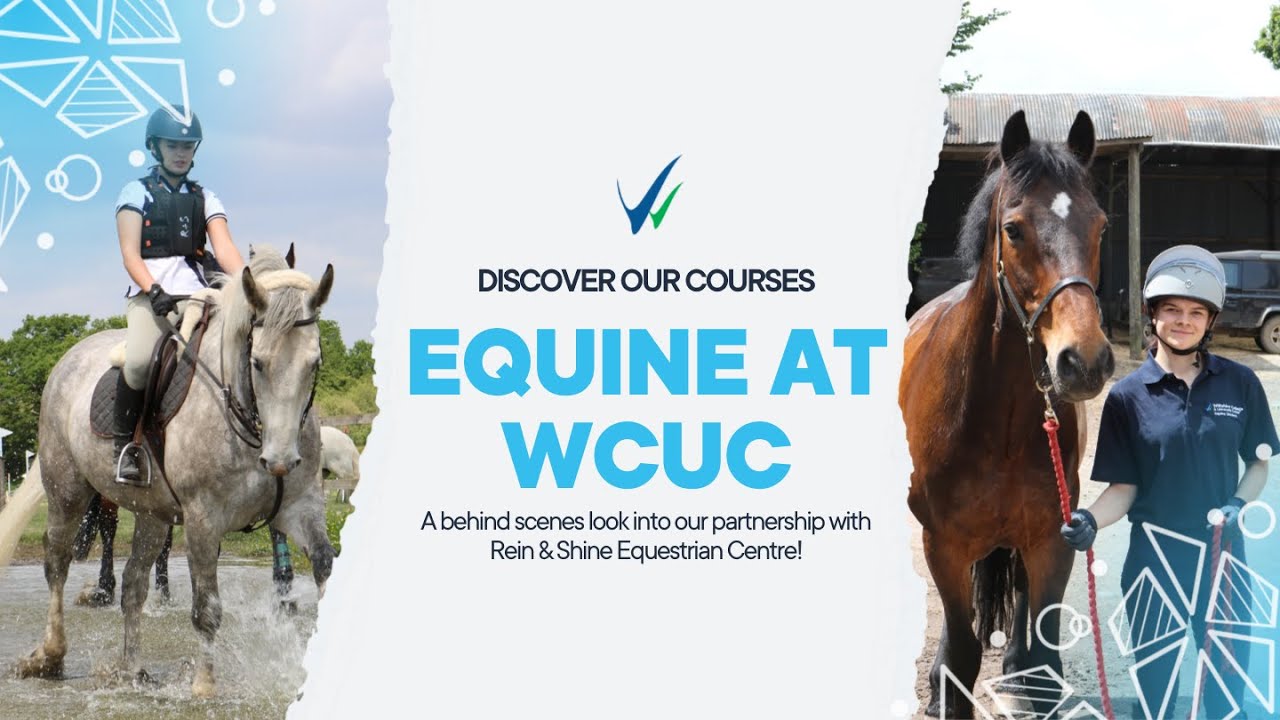 Equine at WCUC - Discover Our Courses