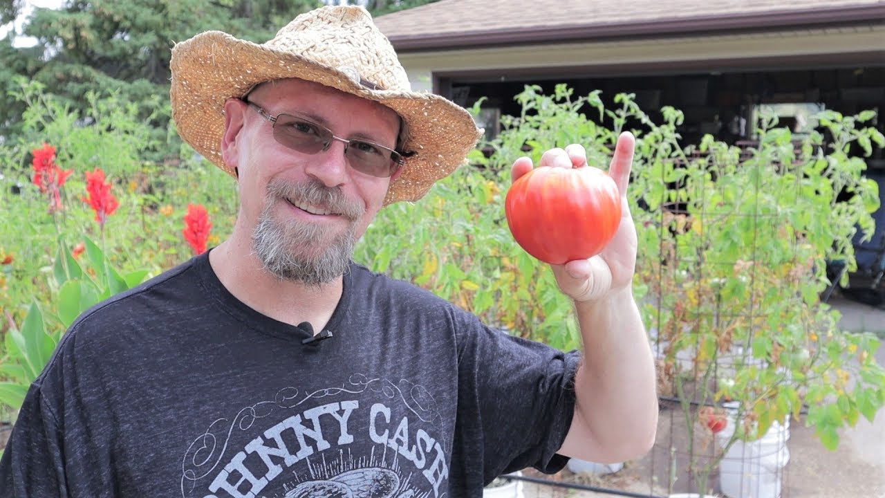 How To Make Homemade Tomato Sauce The Brew City Gardener Way