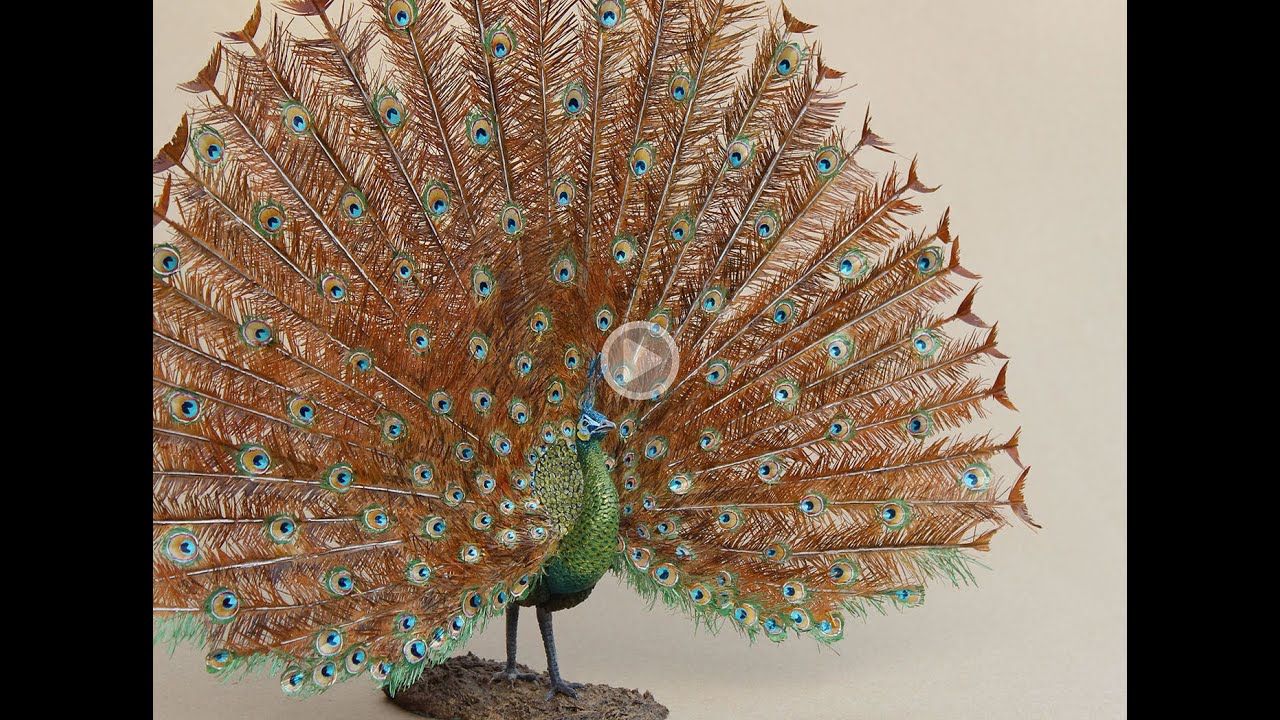 HOW TO MAKE PEACOCK SCULPTURE (Green-necked Peacock) (pavo muticus)