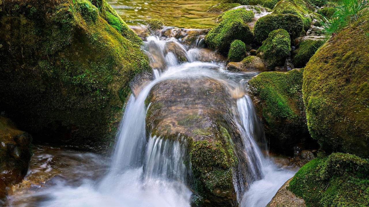 Forest Stream Over Mossy Rocks 🌿 Natural Water Sounds for Deep Sleep (1 Hour) #foreststream
