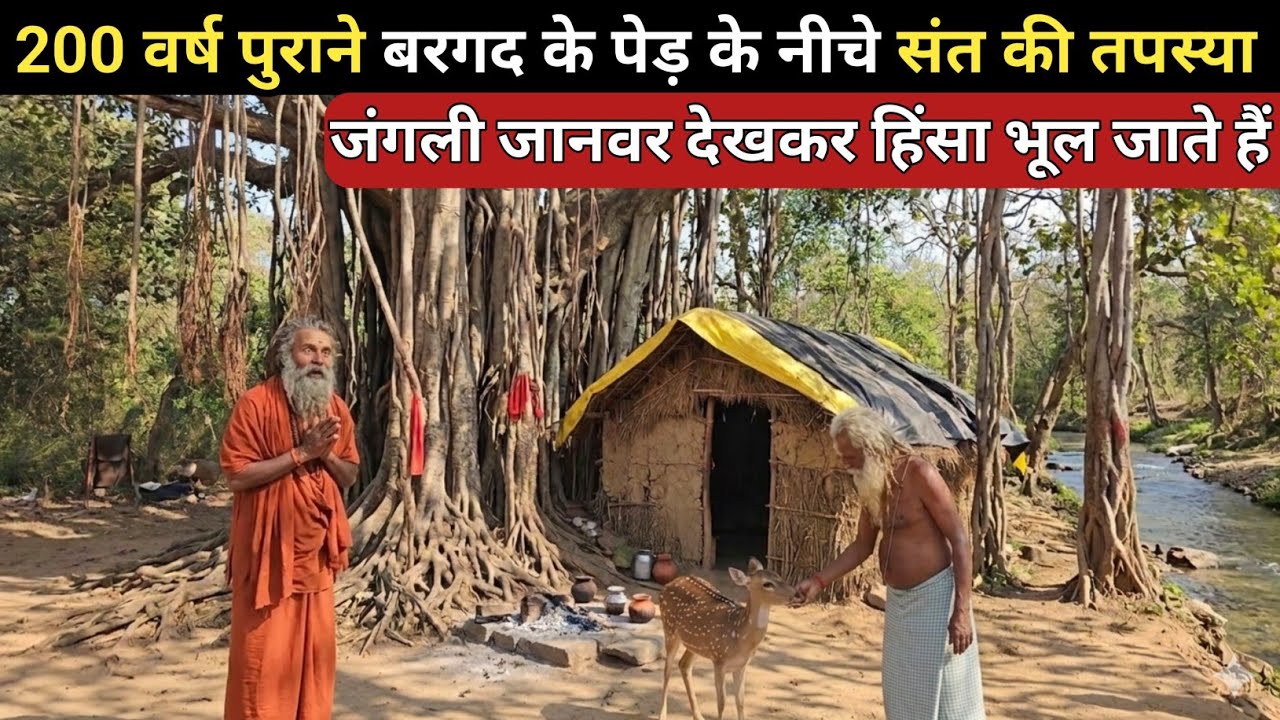 Chitrakoot के जंगल में संत महावीर दास जी की कठोर तपस्या // जंगली जानवर देखकर हिंसा भूल जाते हैं 