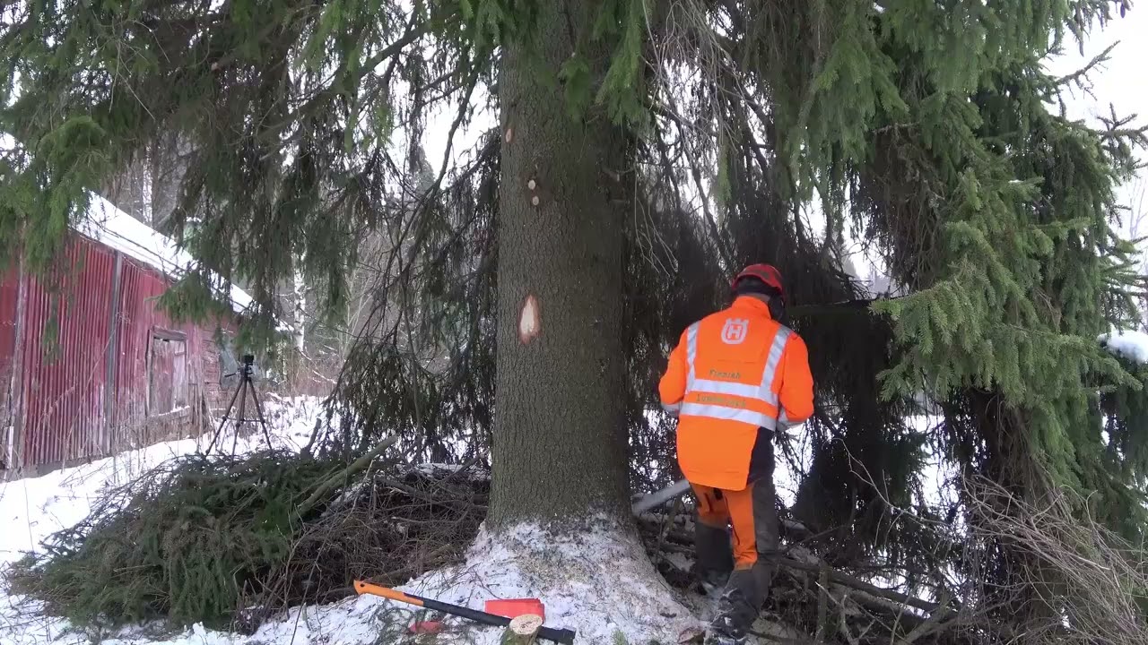 Tunkki, kiilat vai talja?