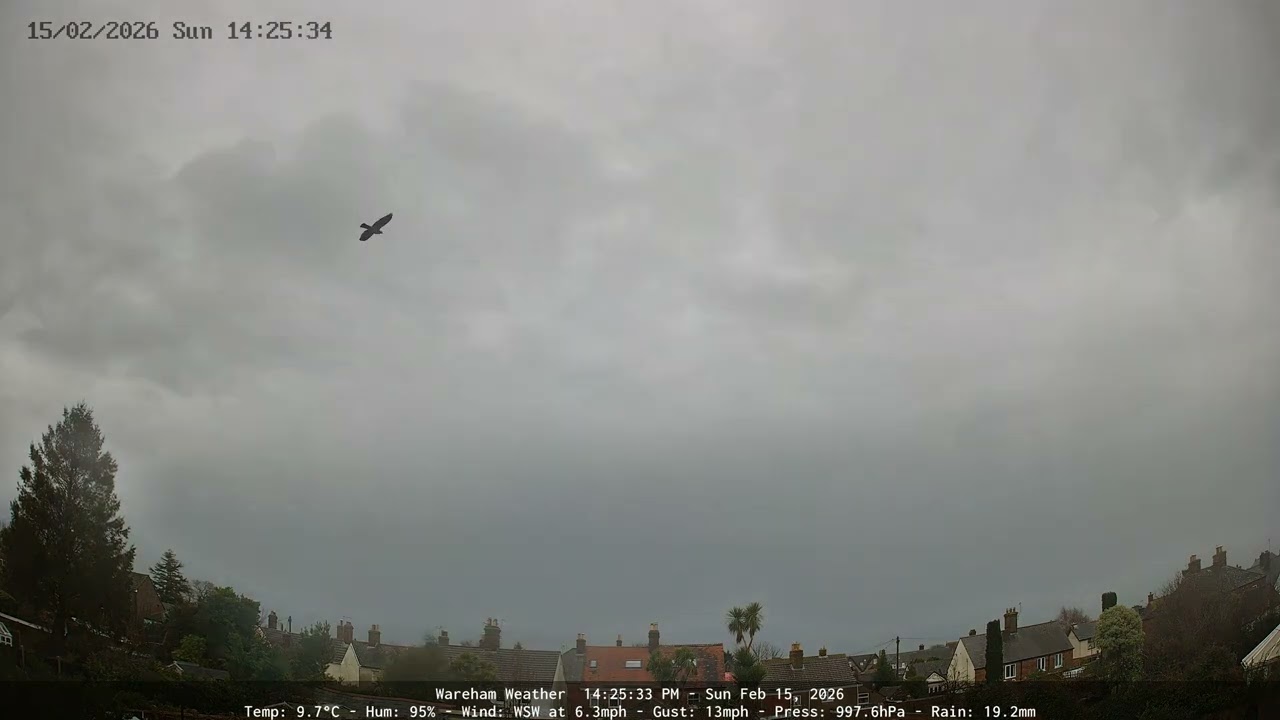 Wareham - Daily Time-lapse - 15/02/2026