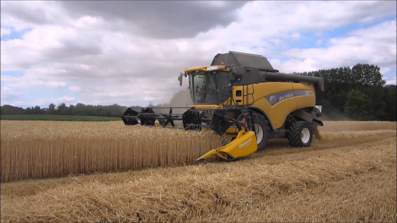 Moisson du triticale 2015