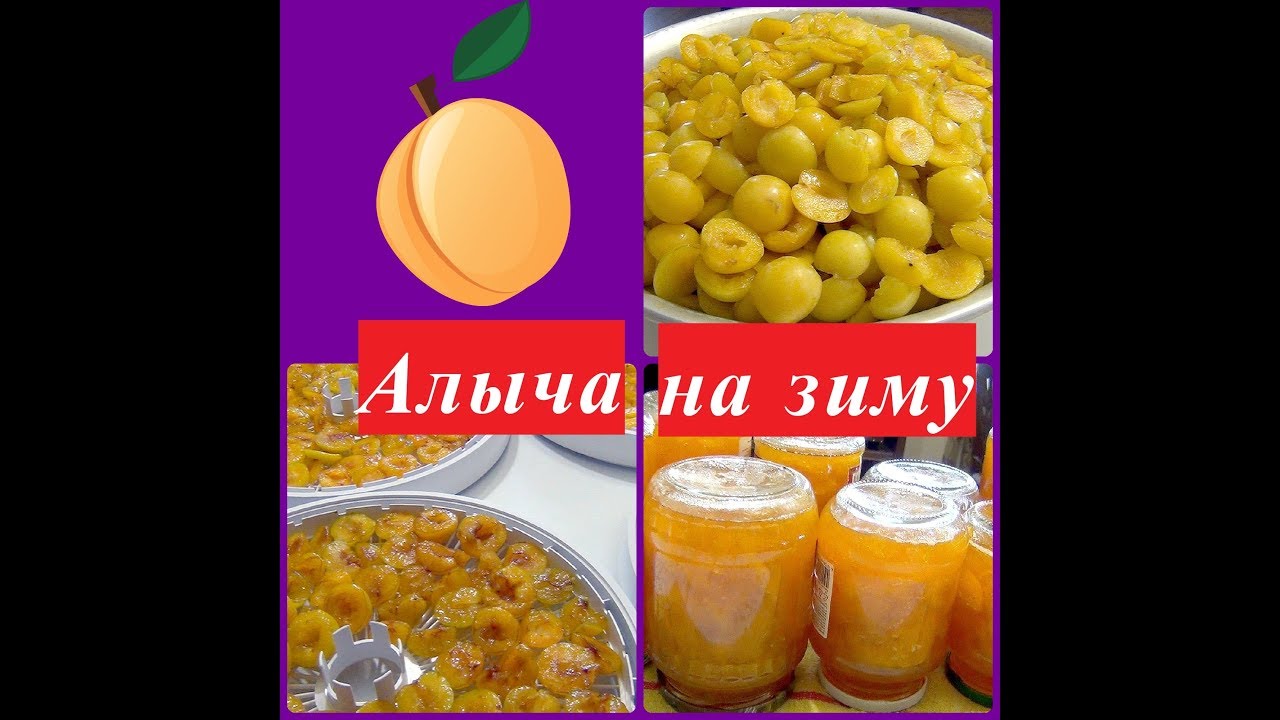 Заготовки из алычи на зиму.Сушка, джем.