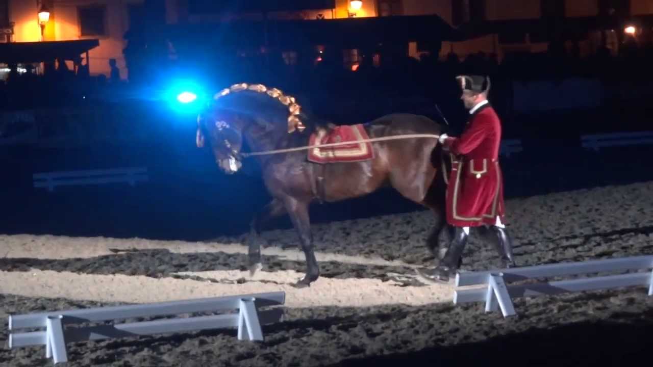Golegã 2013 - Ecole Portugaise d'Art Equestre - Longues rênes (long reins)