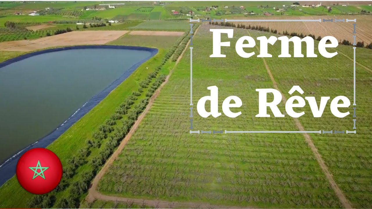 Ferme De luxe a vendre Maroc Region de Meknes - Ferme a vendre maroc .