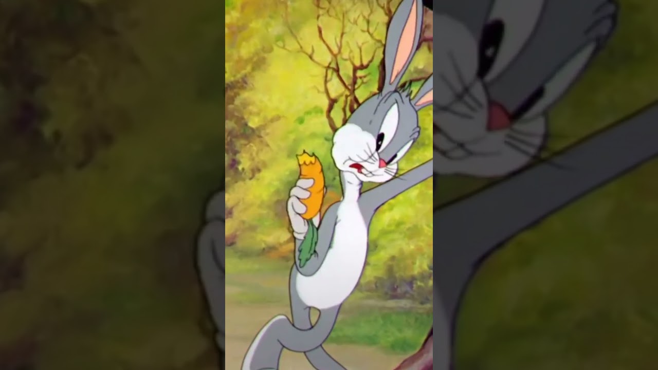Animation is not a Genre.