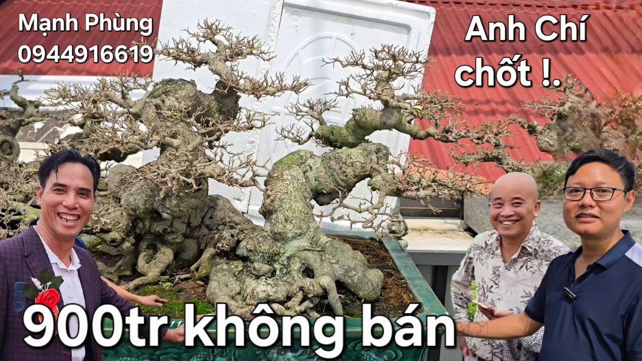Anh Chí trả 900tr Mạnh Phùng không bán bây giờ ra sao ?