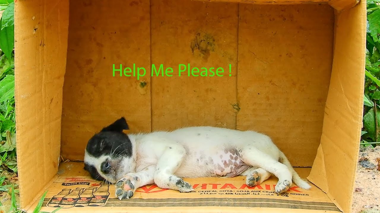 Help Me ! Judy Wake Up Very Late  & Feel So Lonely, Where Are you?