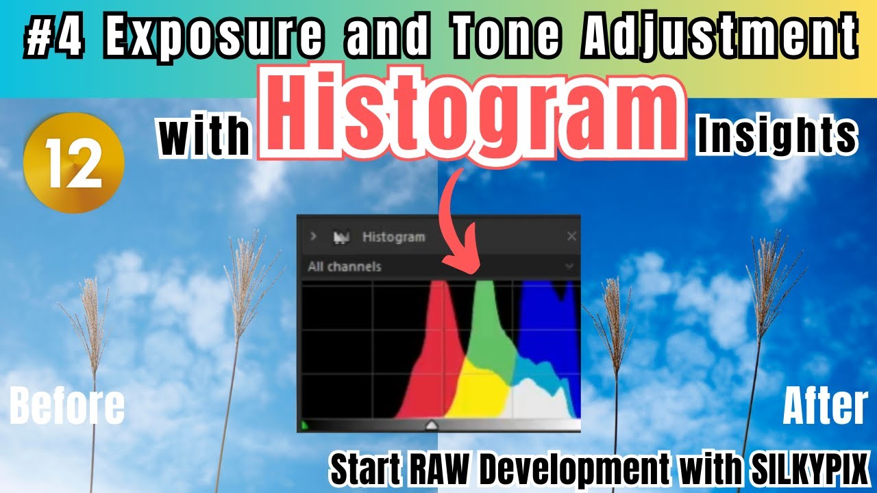 #4 Exposure and Tone Adjustment with Histogram Insights