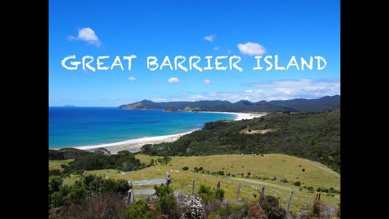 Great Barrier Island - New Zealand