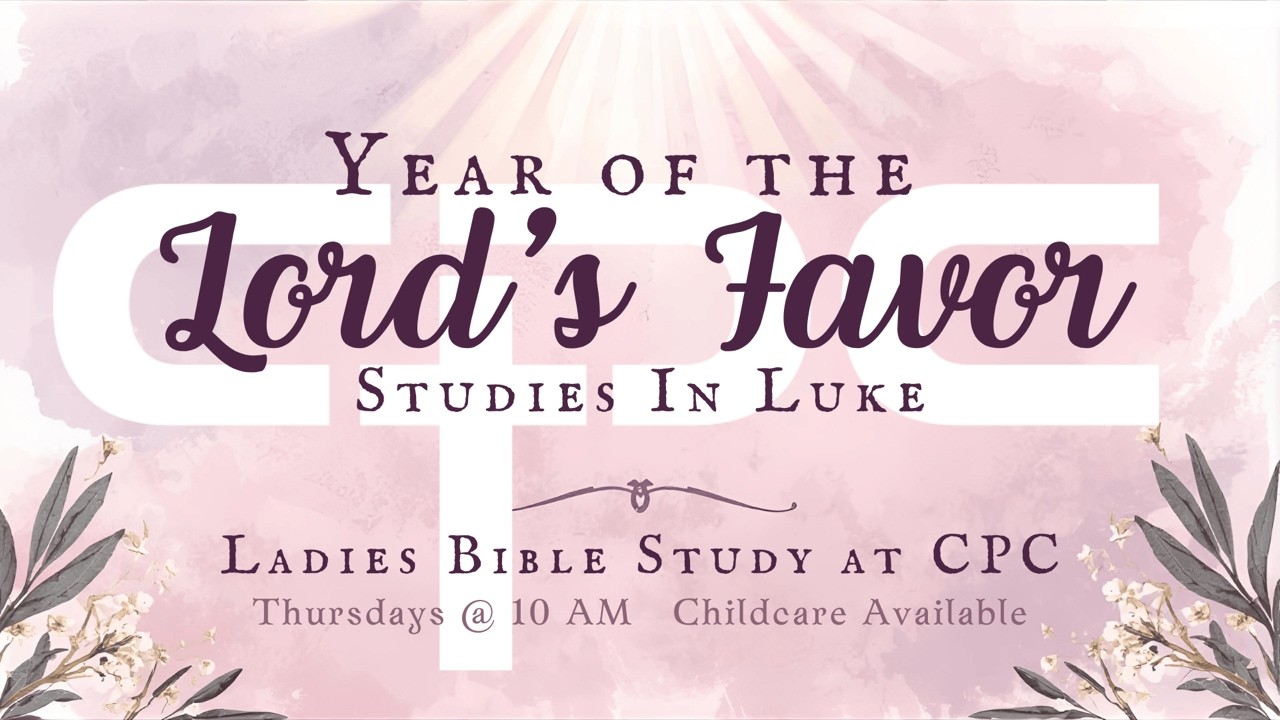 Ladies Bible Study with Sally Dechert Luke week 24