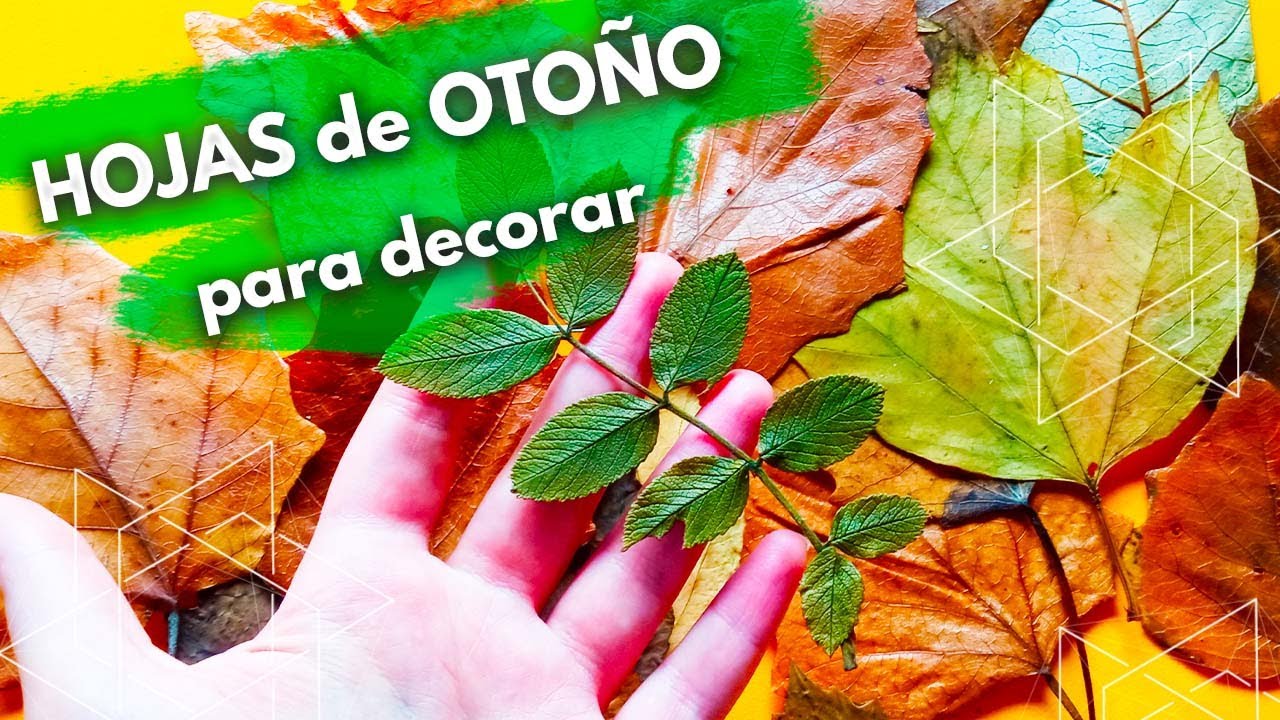 Cómo conservar hojas naturales otoñales para adornar | decorar