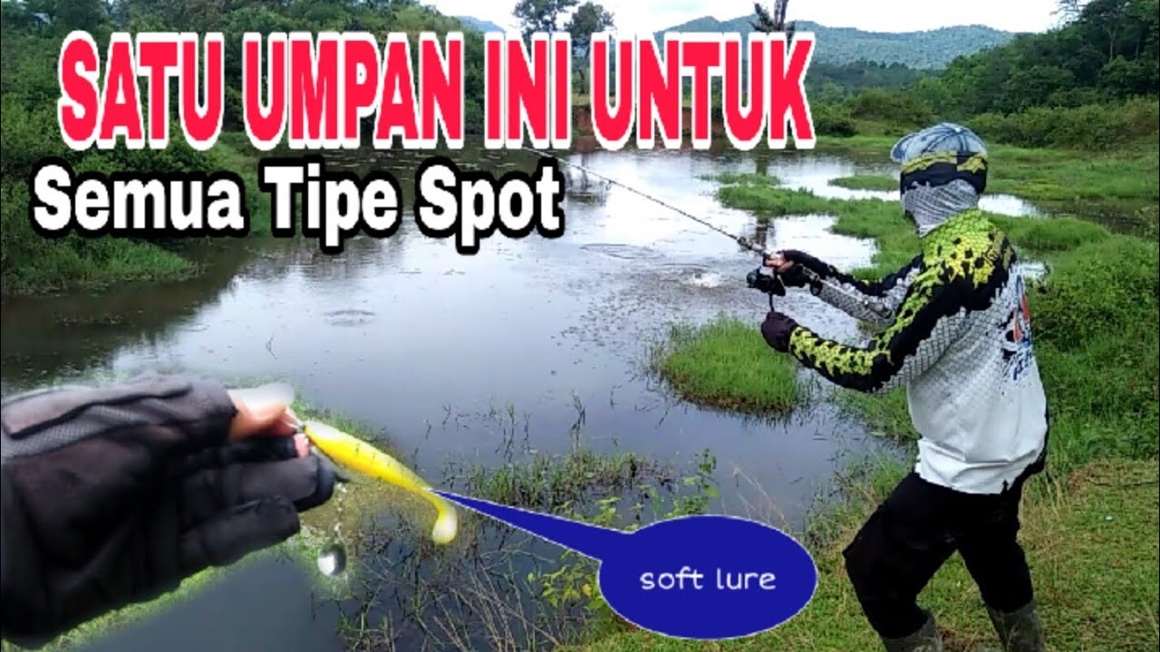 Cara Mancing Ikan Gabus di spot teratai pakai soft lure Terbaru 2022 | Mancing Ikan gabus di Rawa