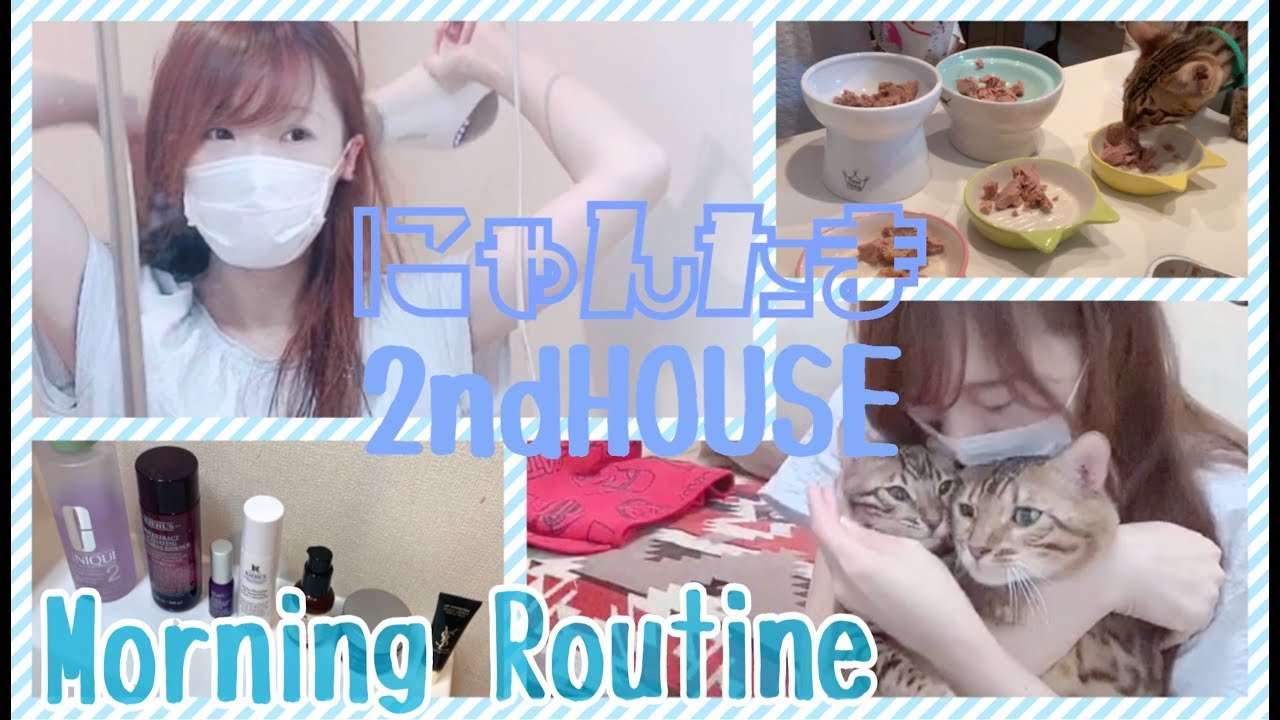 にゃんたまHOUSE主の朝のモーニングルーチン