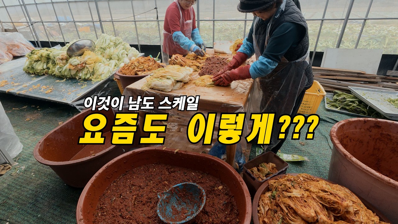 요즘도 이렇게 김장합니다｜전남 고흥 비닐하우스 김장 현장