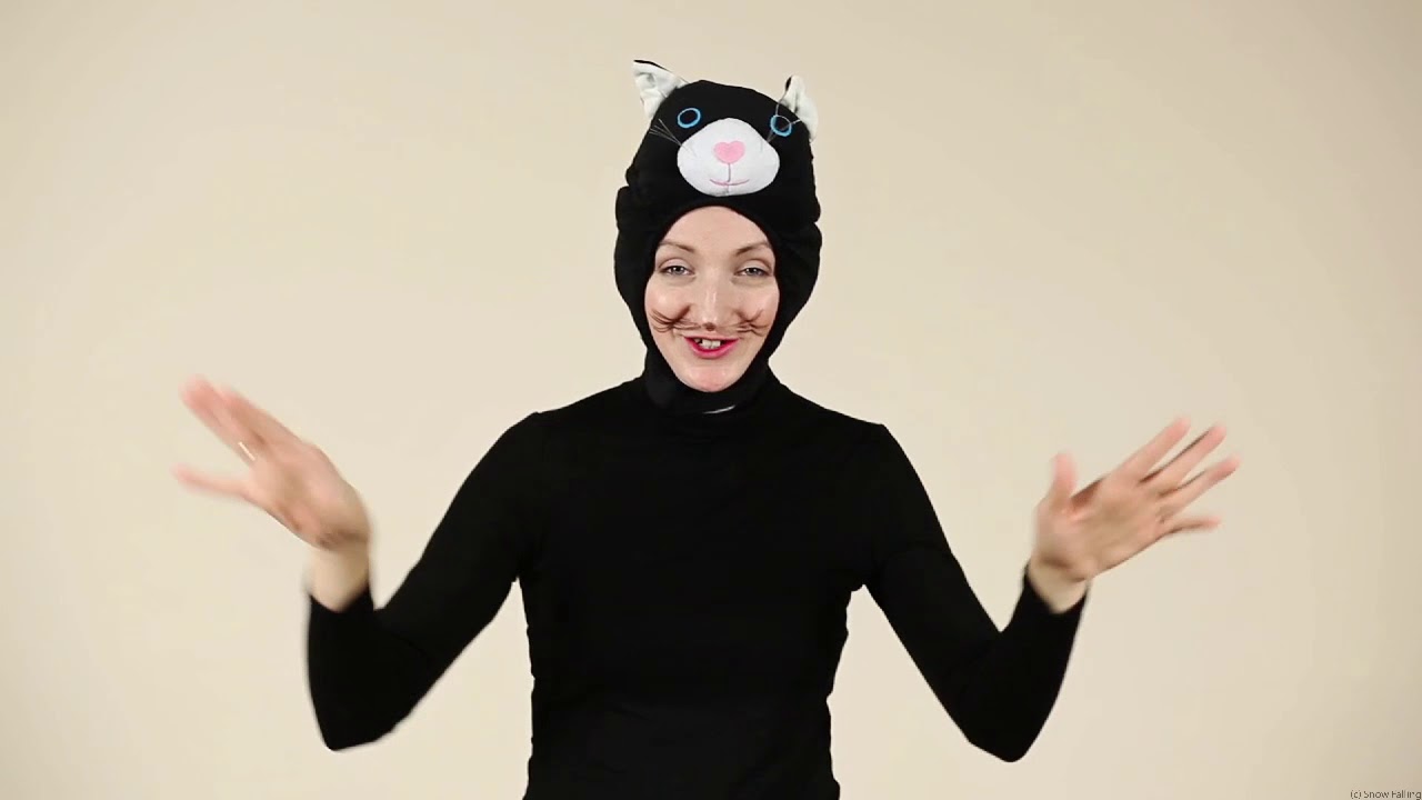 Wlazl kotek na plotek i mruga, piosenka dla dzieci