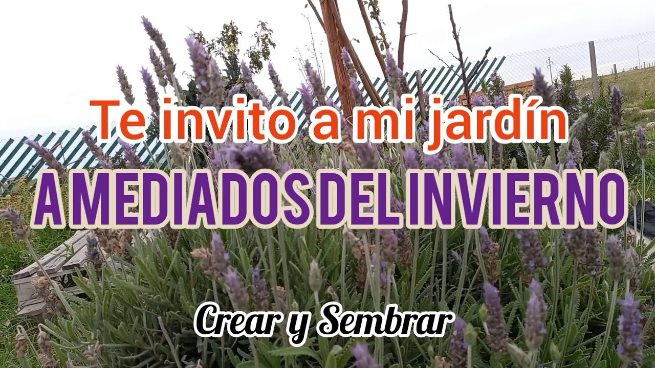 Te invito a mi jardín a mediados del invierno