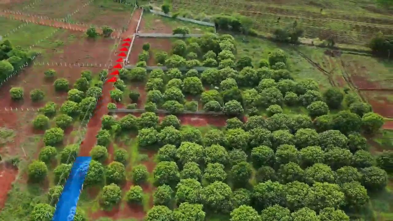 Vikarabad farm land for sale in #Pudur off#Manneguda#landforsale 