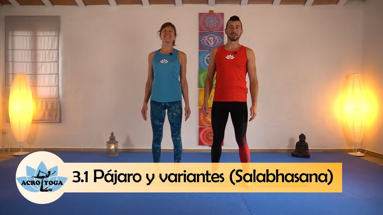 CLASE ACROYOGA ONLINE🤸 Pájaro y variantes Salabhasana🤸