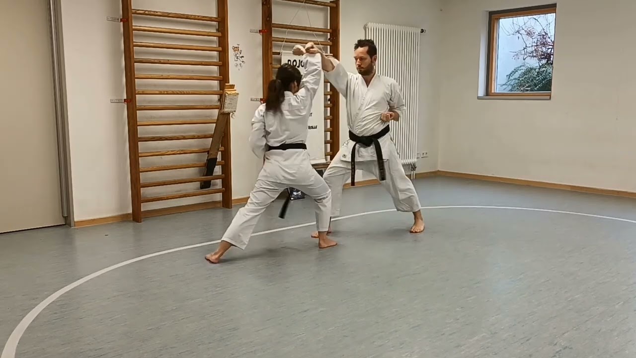 gohon kumite oi zuki jodan + age uke shotokan karate (9.Kyu)