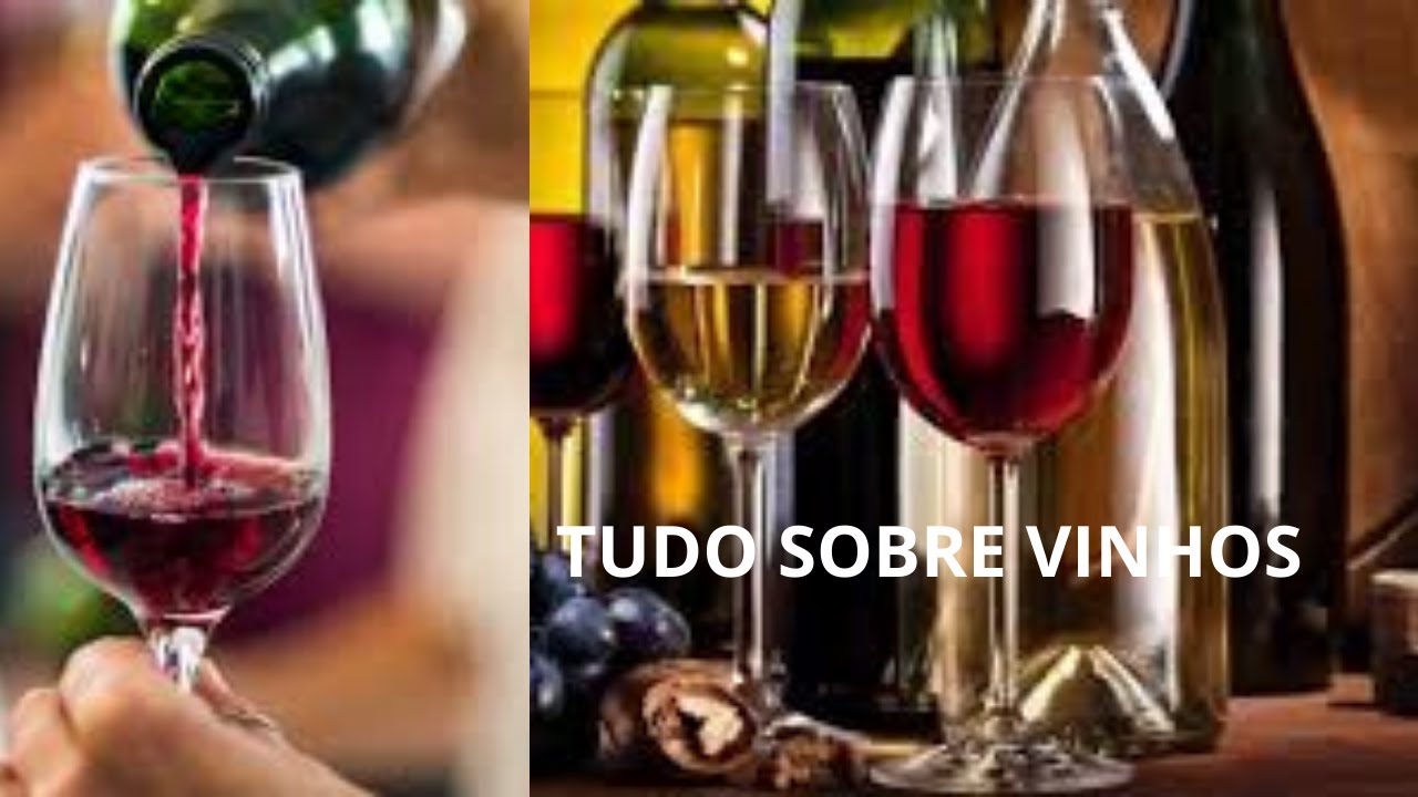 Mundo dos Vinhos : Compilados Vídeos do Instagram#1 | Apenda Tudo Sobre Vinhos