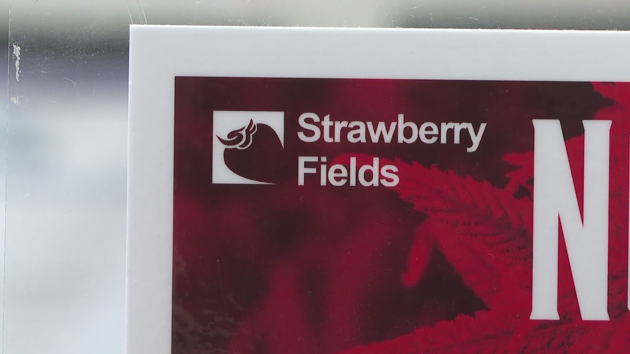 Strawberry Fields Plans For Marijuana Home Delivery, A First For Denver