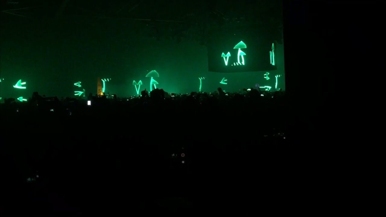 Bassnectar - Oscilloscope Mushrooms