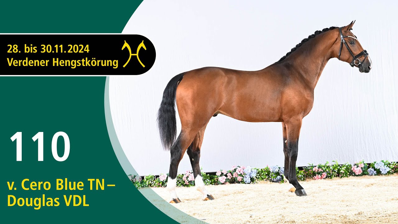No. 110 Stallion by Cero Blue TN - Douglas VDL | Verden Stallion Licensing 2024- Jump - Nov. 29/30