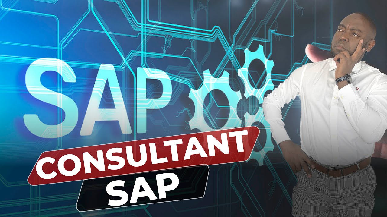 Consultant SAP, tout ce qu'il faut savoir [Plus de 80K par an] de la Tunisie vers la France