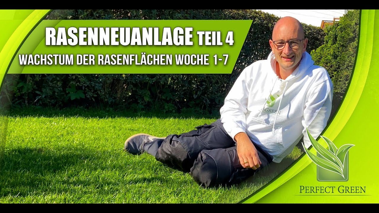 Rasenneuanlage & Nachsaat | Teil 4: Rasenwachstum Woche 1 bis 7 | Entwicklung der Rasenflächen