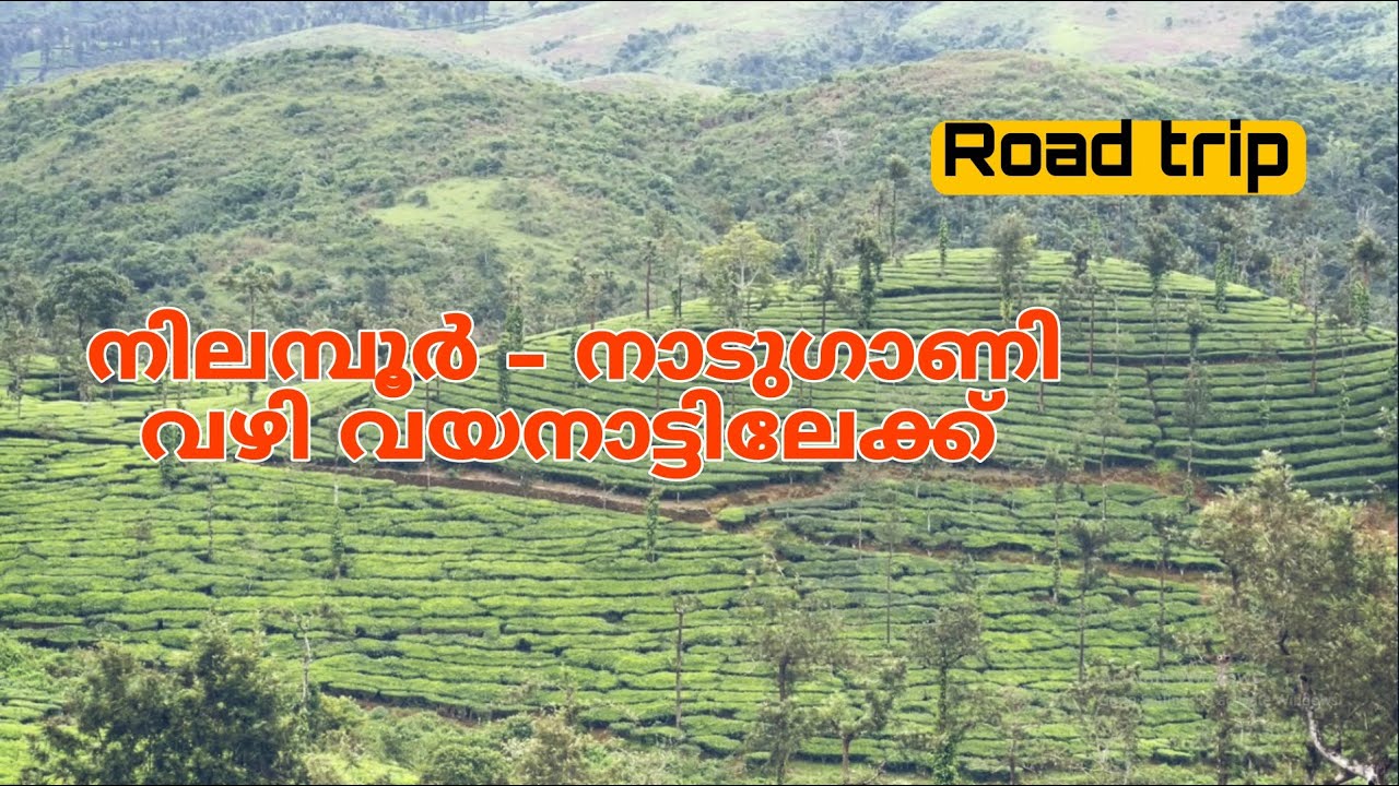 നിലംബൂർ - നാടുകാണി  വഴി വയനാട്ടിലേക്ക് | Nilambur-Nadugani-Waynad