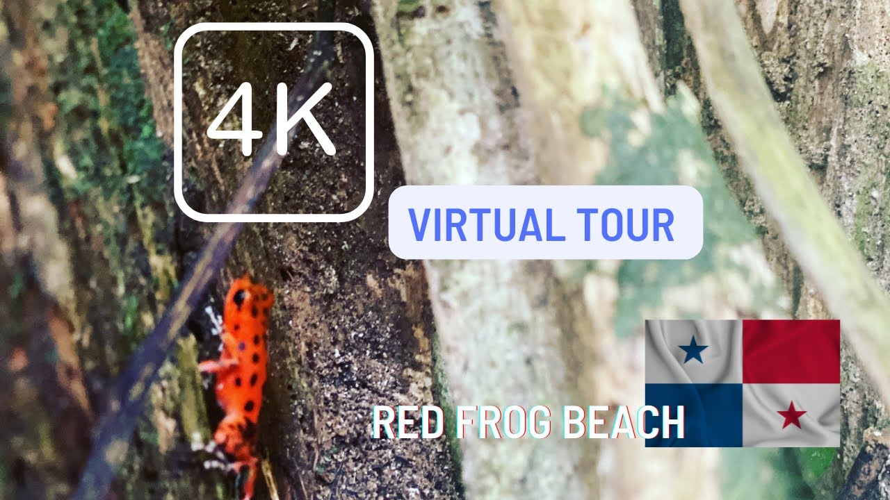 4K 60 FPS Virtual tour; Red Frog Beach, Isla Bastimentos Oct - 2022