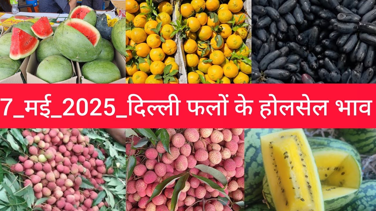 May 7, 2025 दिल्ली फलों के भाव delhi #fruit market price APMC delhi fruit market #fruitmarket