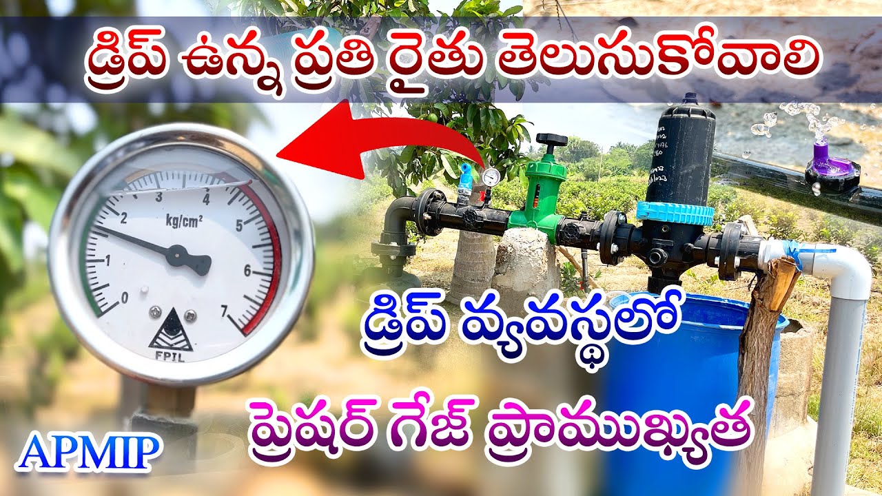 డ్రిప్ ఉన్న ప్రతీ రైతు తెలుసుకోవాలి || డ్రిప్ వ్యవస్థలో ప్రెషర్ గేజ్ ప్రాముఖ్యత || APMIP