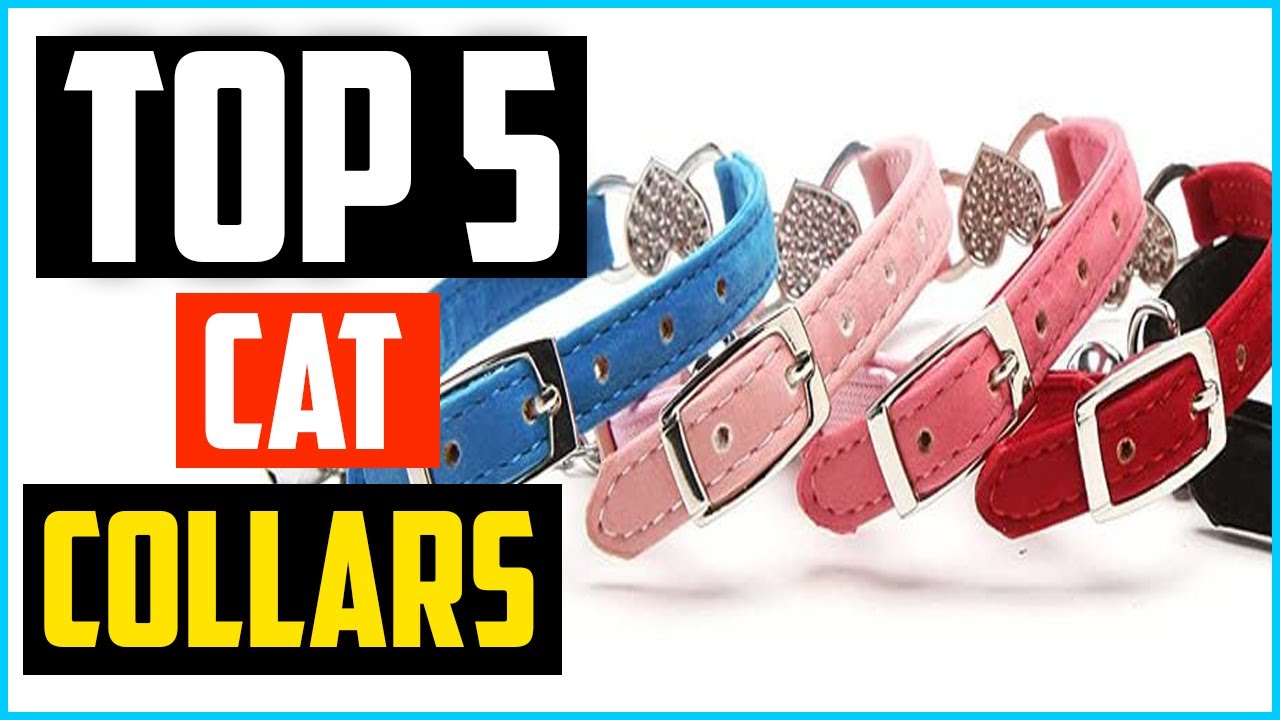 ✅Top 5 Best Cat Collars Review in 2024