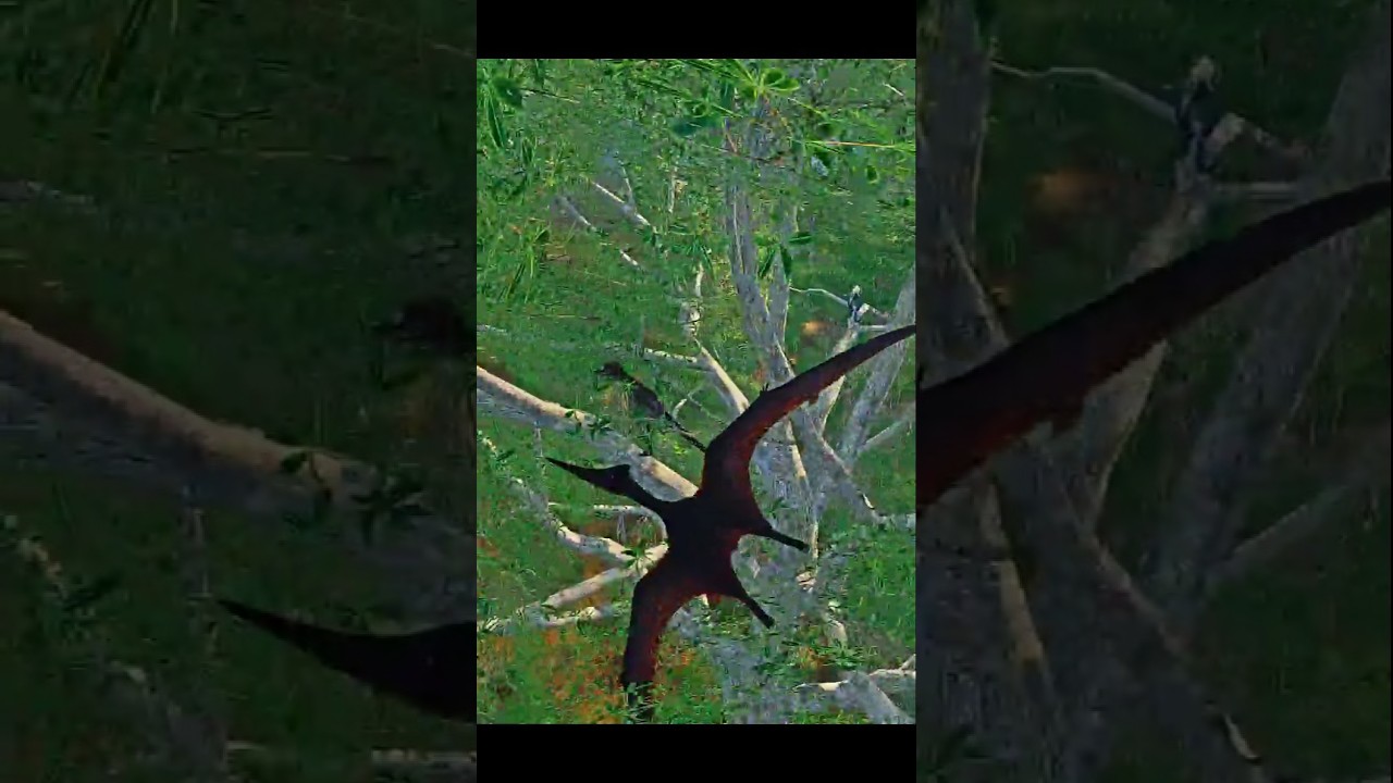 Ptera vs. 2 Herra #theisle #evrima #Pt #Ptera #combat #pvp