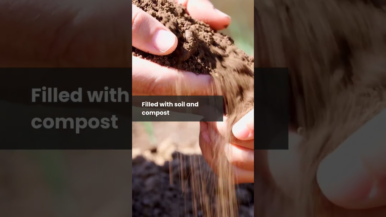 Want to grow your own food? Check out this guide #localproduce  #foodgardens #localfood #urbanfood