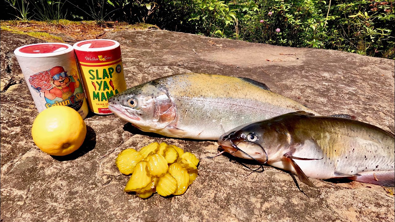 Catch n' Cook FAT Trout, Catfish & Pickle Foraging in the Mountains!
