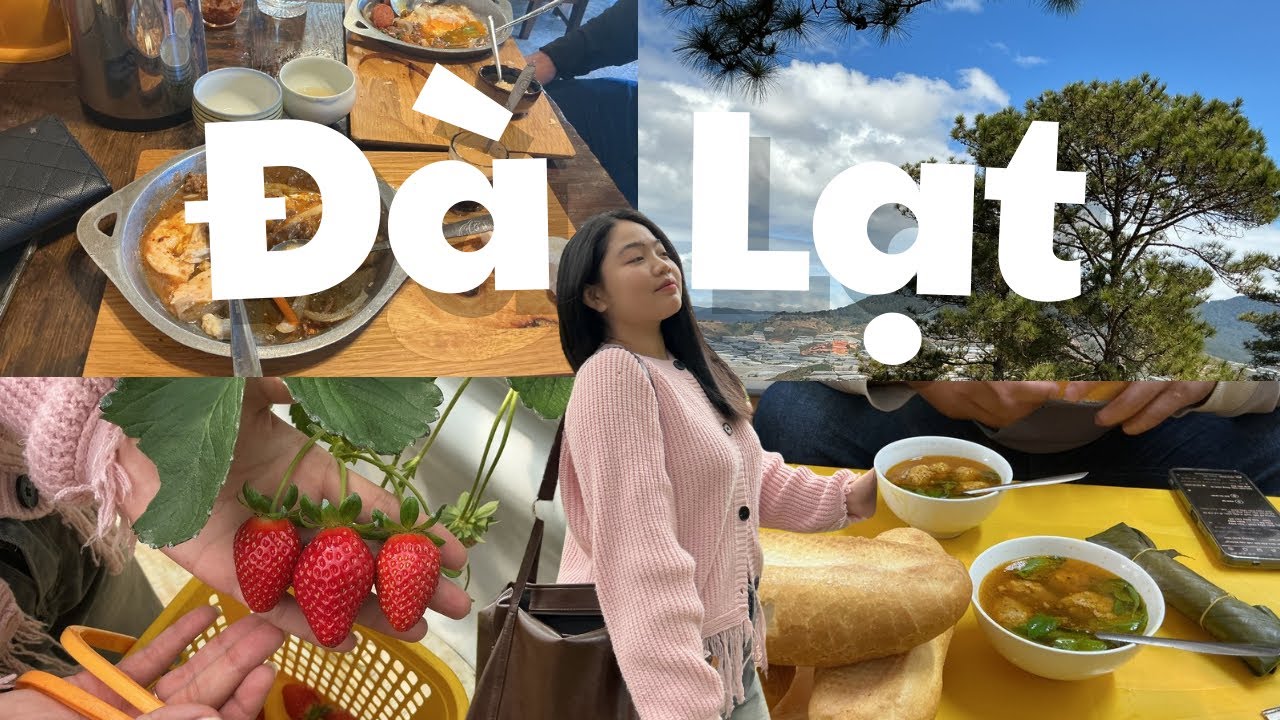 3 ngày khám phá Đà Lạt [ mini vlog 2026 Da Lat ] 🌲🌲🌲 và vài địa điểm ăn mình ưng ý 