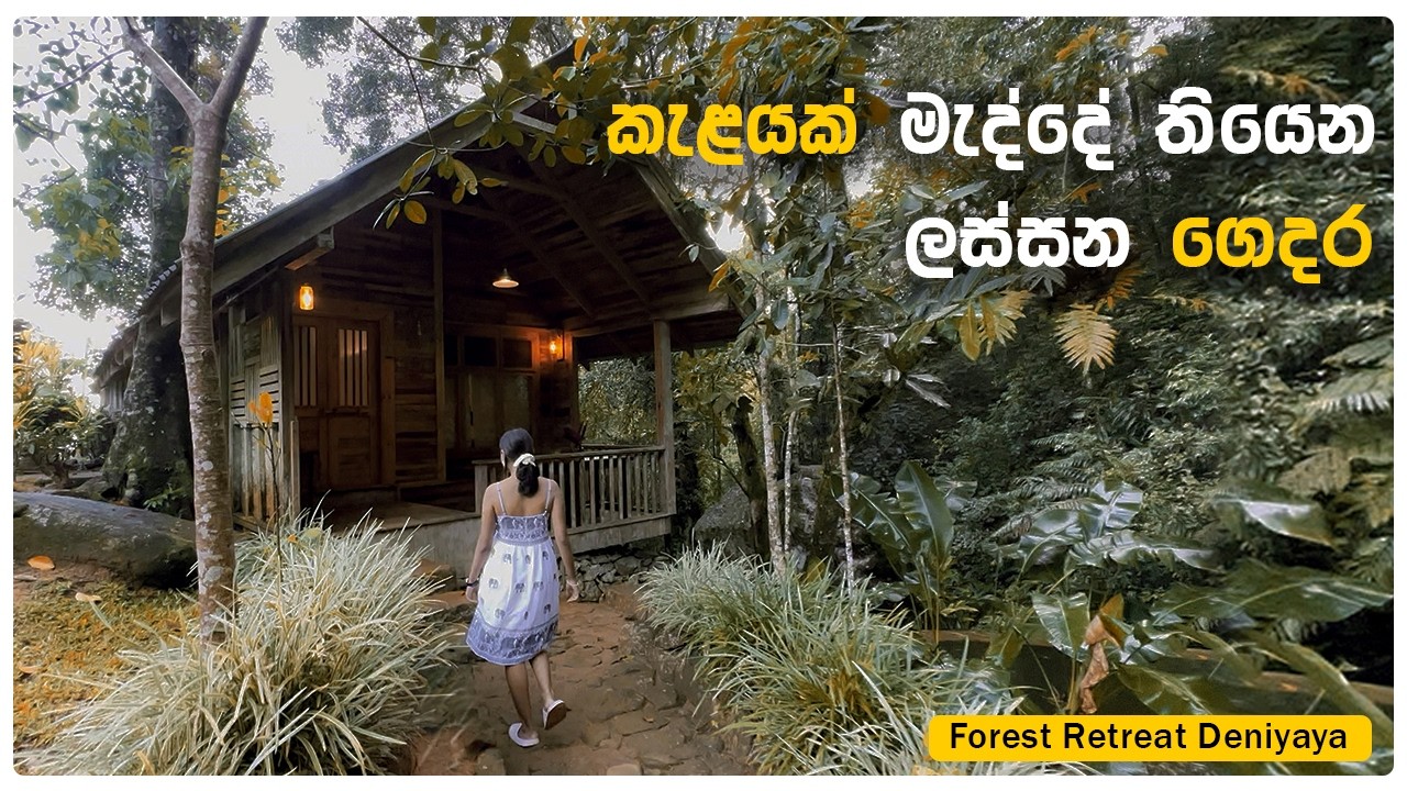වැසි වනාන්තරයක් මැද්දේ ලී ගෙදරක් | Forest Retreat Deniyaya | @traveljoduwa 