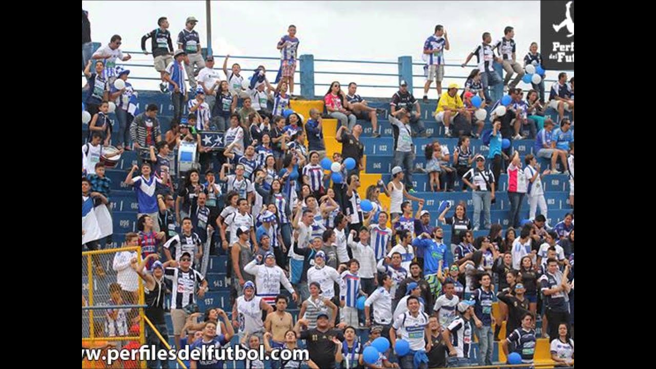 Vive Vive Cartago Vive